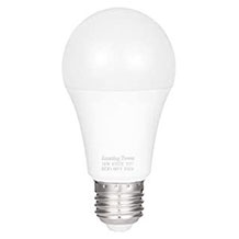 AMAZING POWER lampadina LED E27