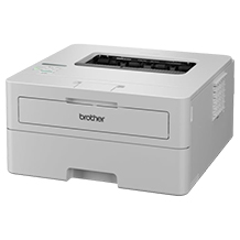 Brother HL-L2865DW