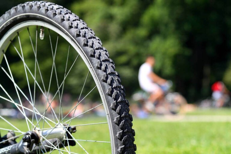 copertone per biciclette