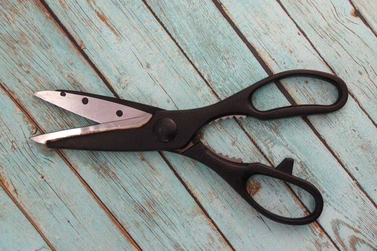 forbici da cucina