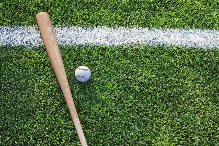mazza da baseball