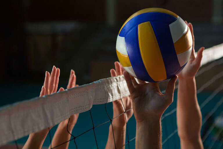 pallone da pallavolo