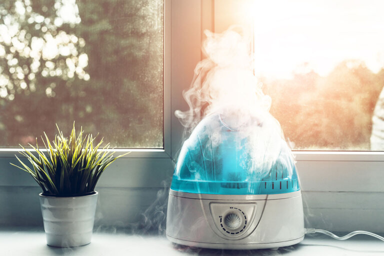 umidificatore d'ambiente